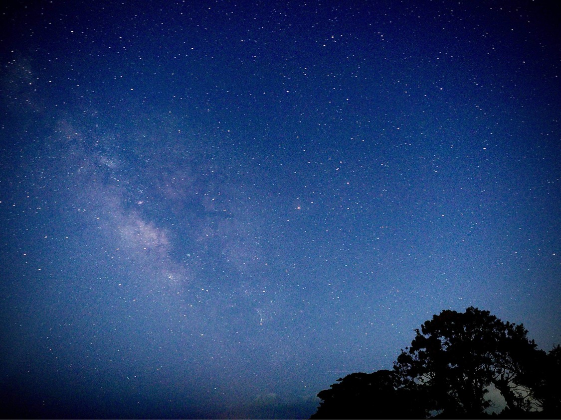 お空の星をじっくり見つめたことがありますか？
